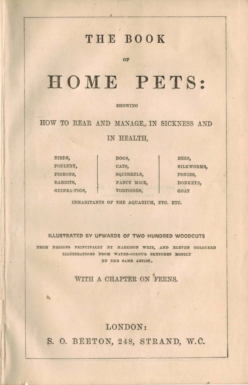 Image for the Book of home Pets Showing How to Rear & manage, in Sickness & in health, Birds Poultry Pigeons Rabbits Guinea Pigs Dogs Cats Squirrels Fancy Mice Tortoises Bees Silkworms Ponies Donkeys Goat Inhabitants of the Aquarium Etc