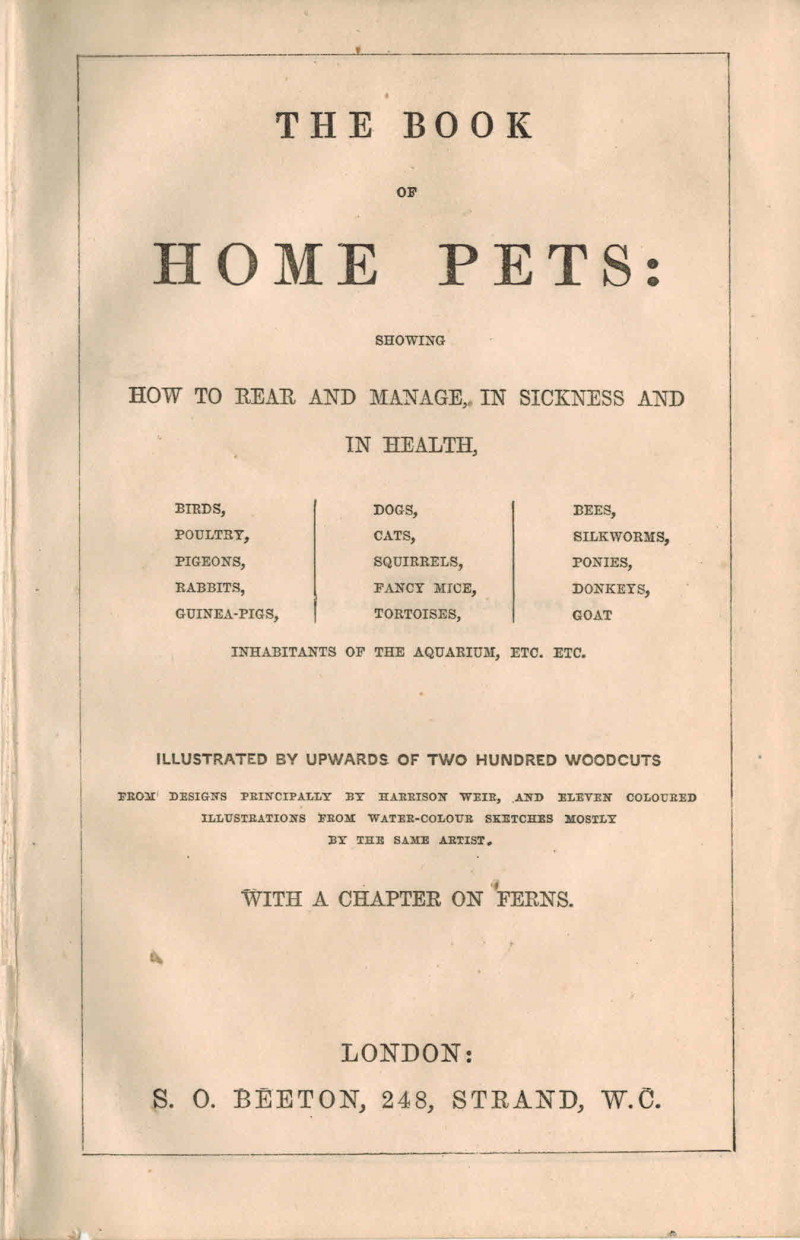Image for the Book of home Pets Showing How to Rear & manage, in Sickness & in health, Birds Poultry Pigeons Rabbits Guinea Pigs Dogs Cats Squirrels Fancy Mice Tortoises Bees Silkworms Ponies Donkeys Goat Inhabitants of the Aquarium Etc