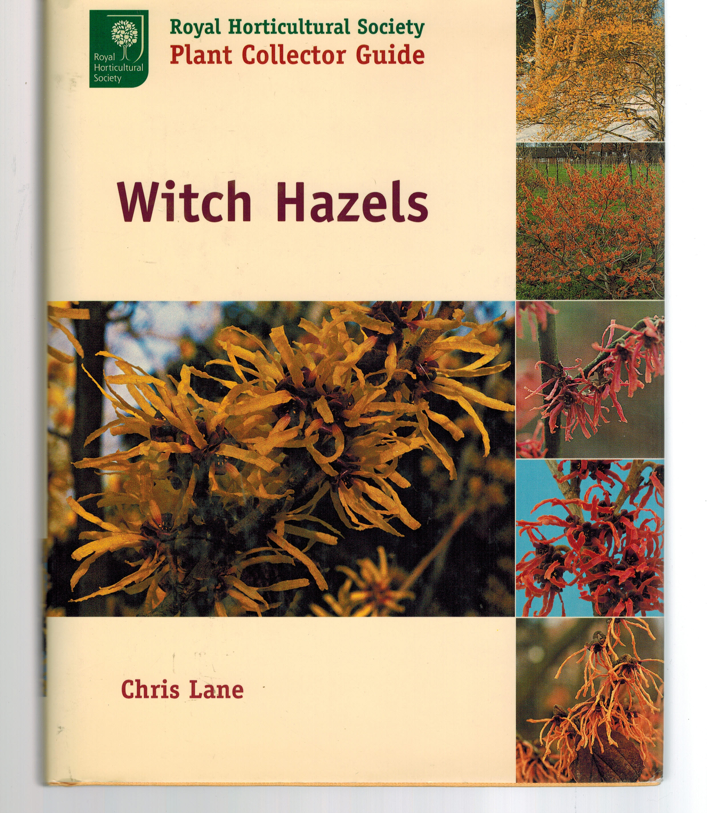 Witch Hazels (ROYAL HORTICULTURAL SOCIETY PLANT COLLECTOR GUIDE, RHS/Timber Press Plant Collector Guides)