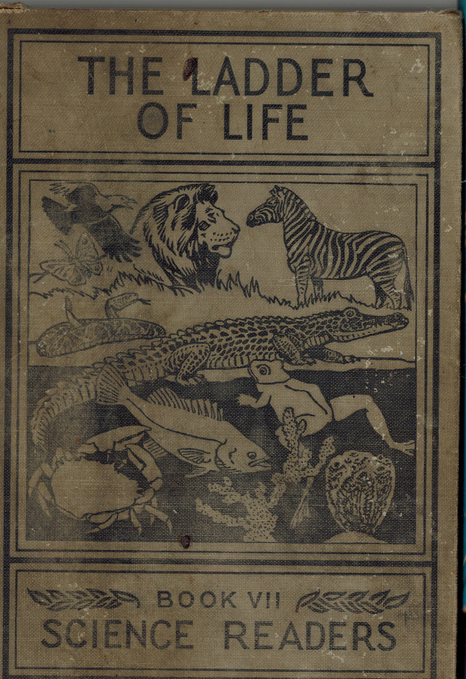 The Ladder of Life - Science Readers Book VII