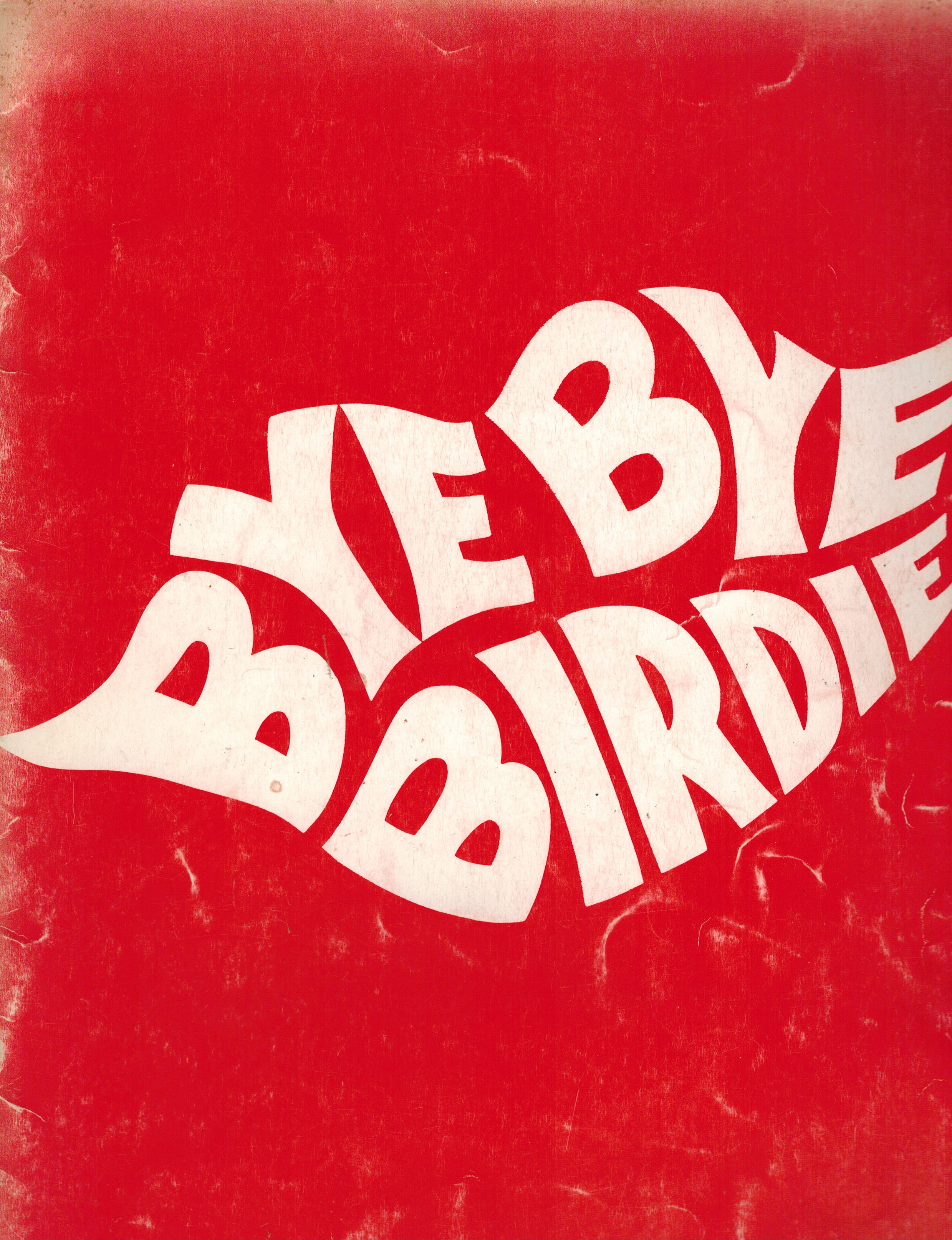 Image for Bye Bye Birdie Souvenir Program Bye Bye Birdie Souvenir Program