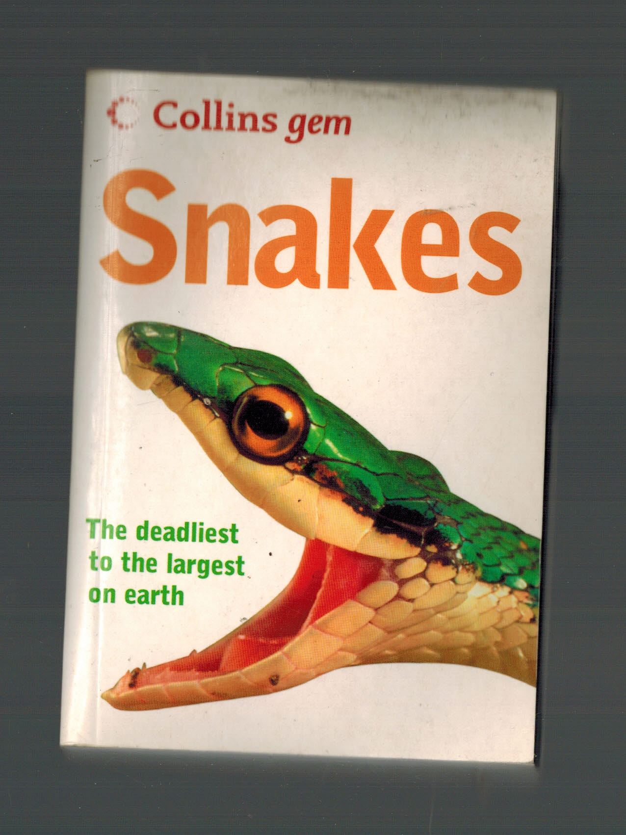 Image for Snakes (Collins Gem) Snakes (Collins Gem)
