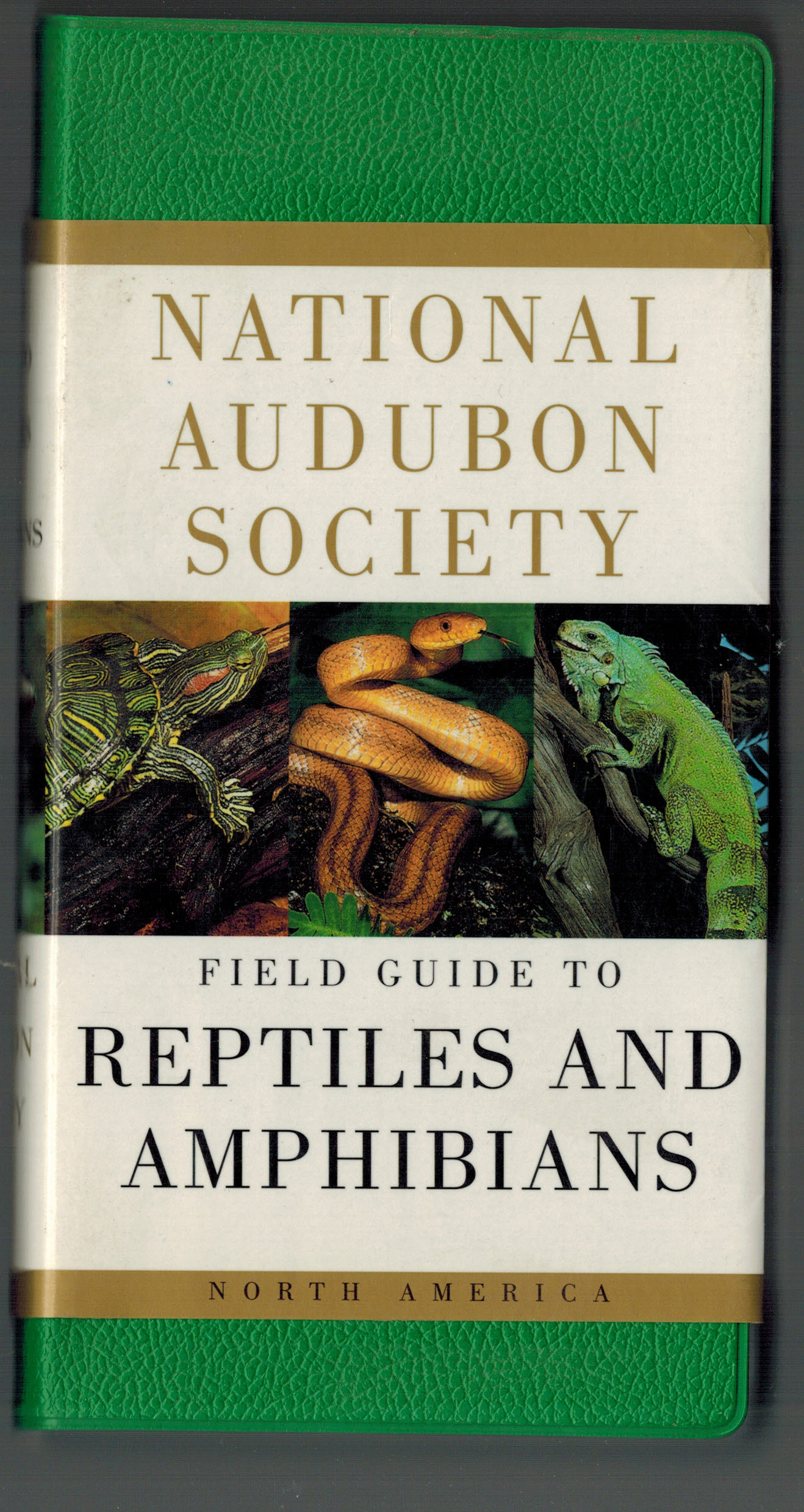 Image for National Audubon Society Field Guide to Reptiles and Amphibians: North America National Audubon Society Field Guide to Reptiles and Amphibians: North America