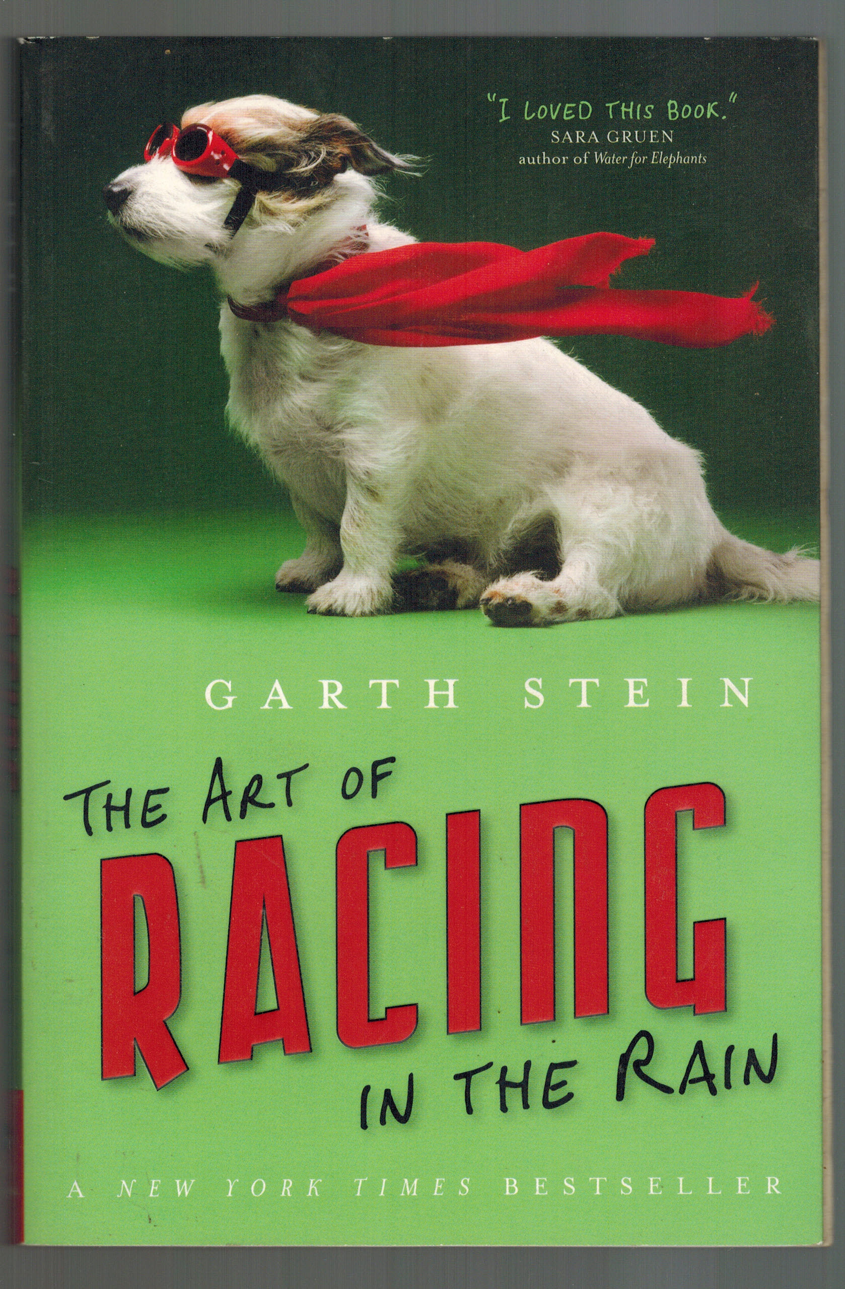 Art Of Racing In The Rain