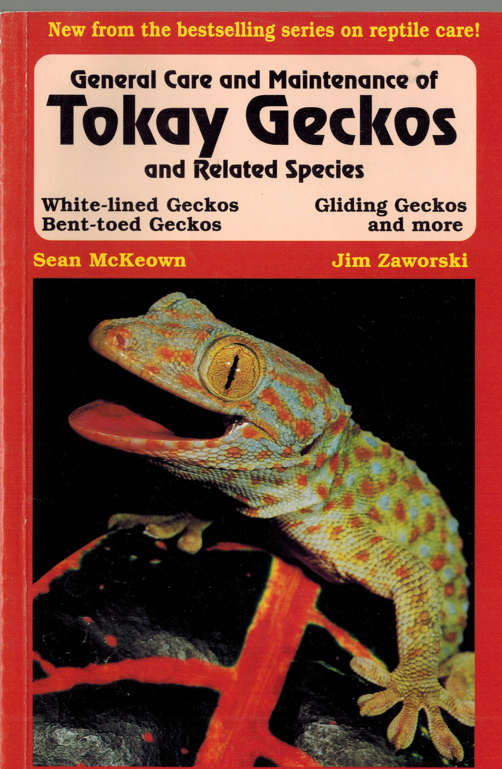 Image for General Care and Maintenance of Tokay Geckos and Related Species (The Herpetocultural Library) General Care and Maintenance of Tokay Geckos and Related Species (The Herpetocultural Library)