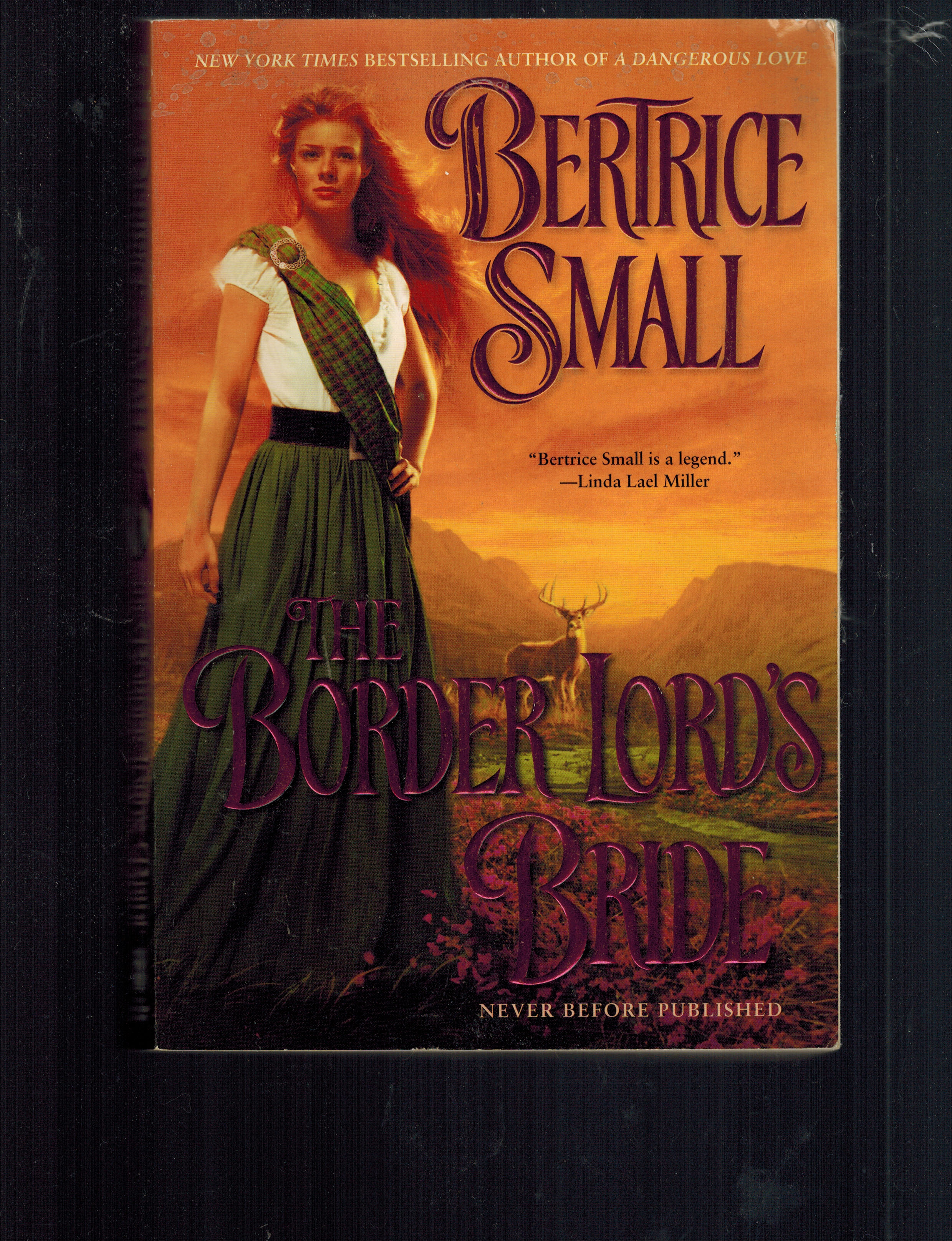 Image for The Border Lord's Bride (Border Chronicles) The Border Lord's Bride (Border Chronicles)