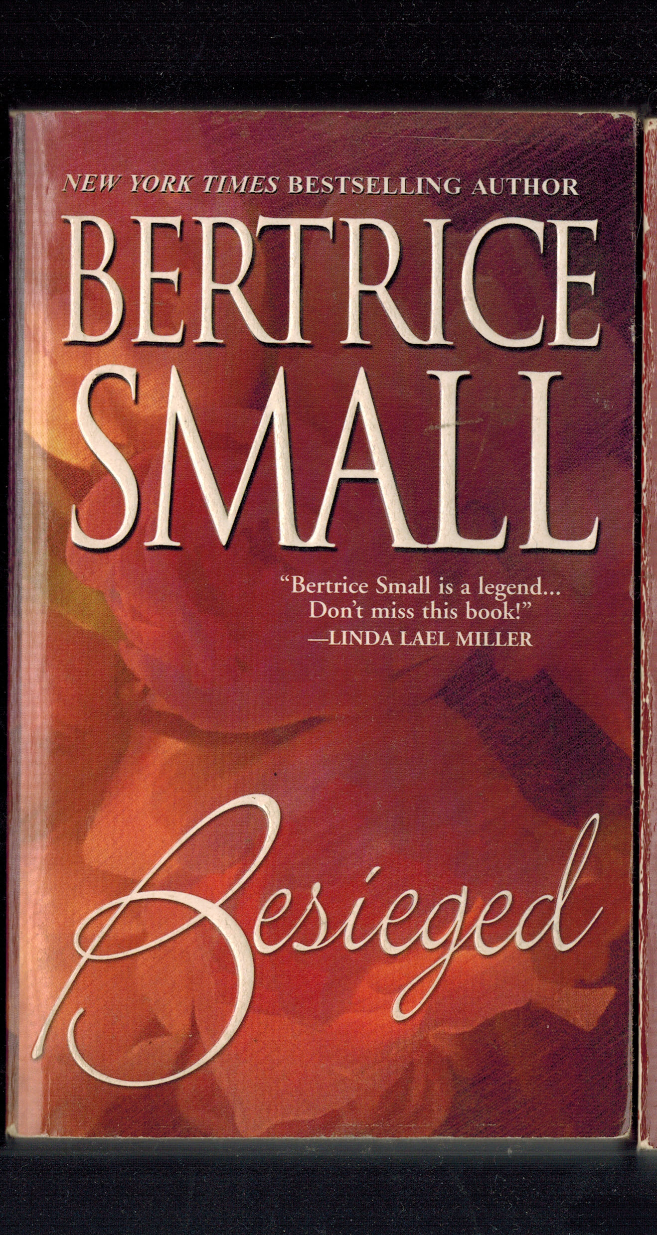 Image for Besieged Besieged