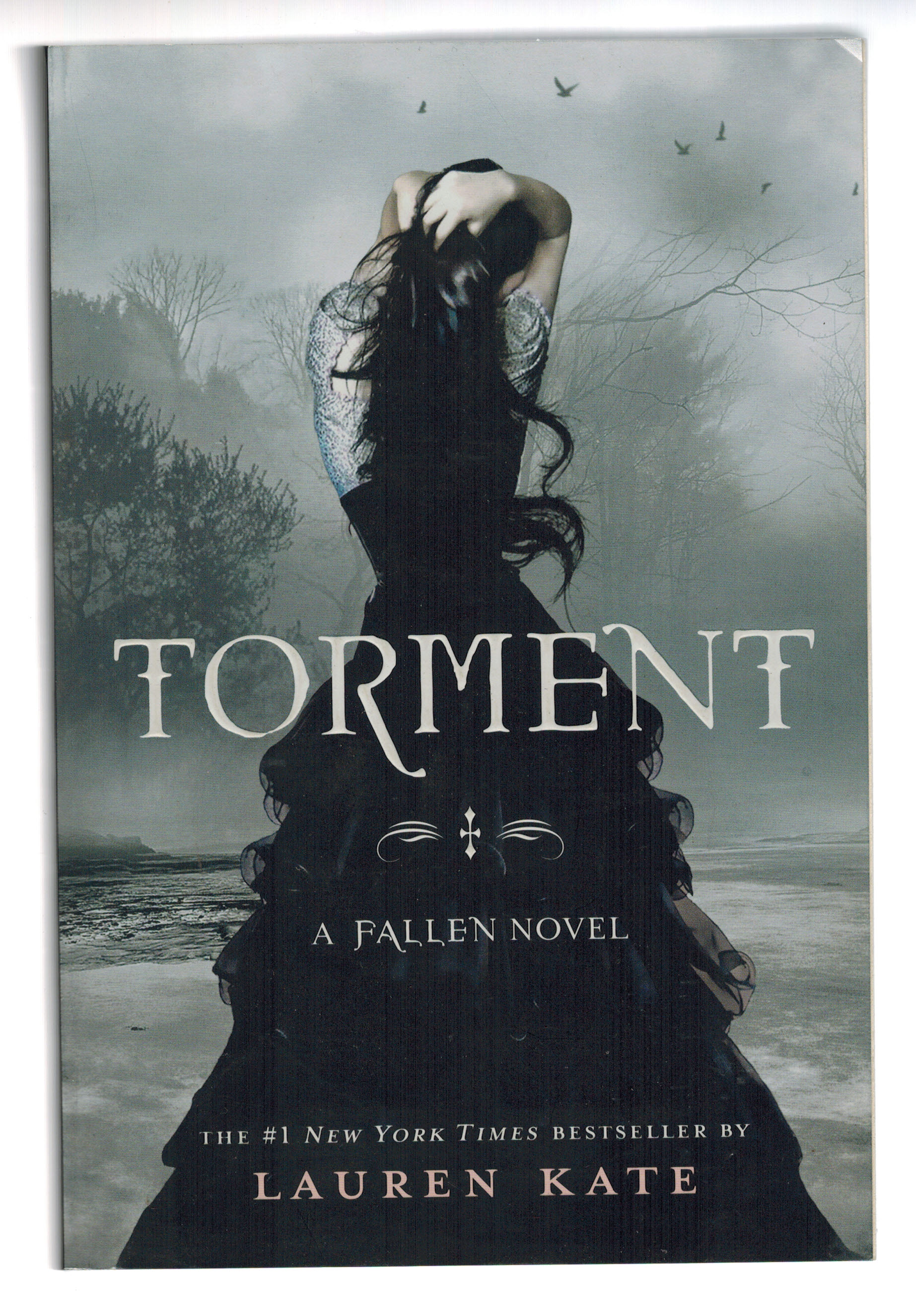 Torment (Fallen, Book 2)