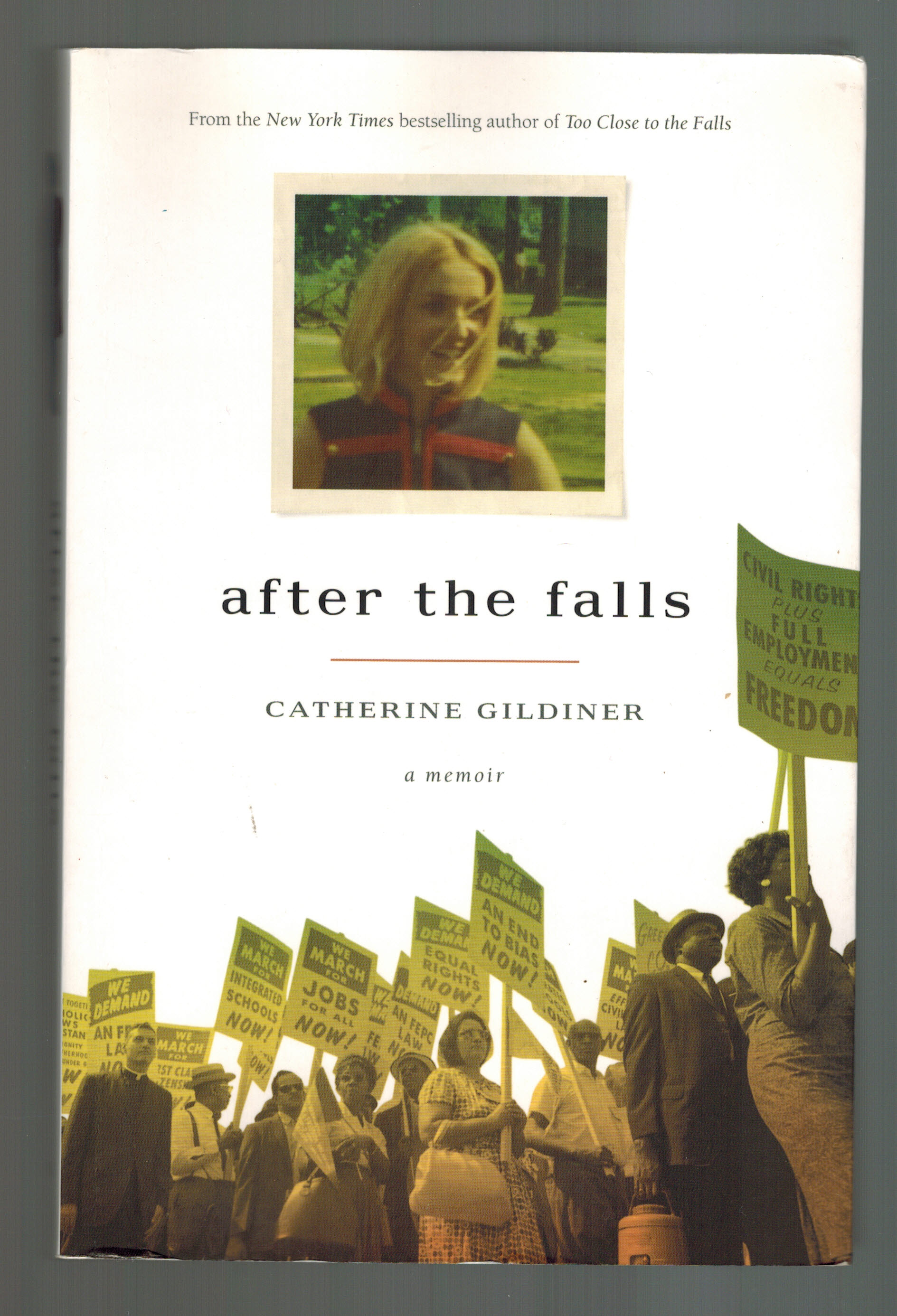 Image for After the Falls: A Memoir After the Falls: A Memoir