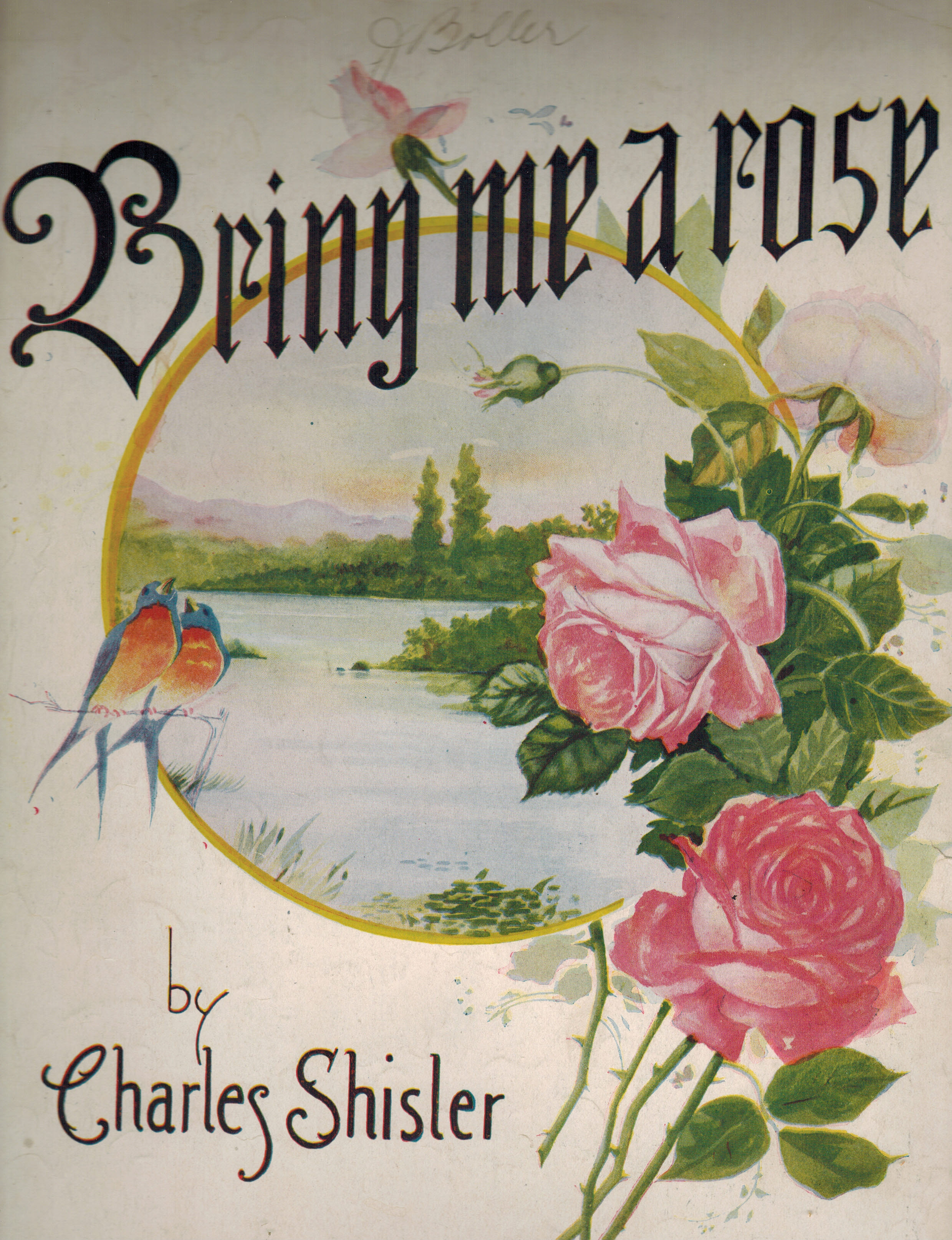 Image for Bring Me A Rose - Vintage Sheet Music Bring Me A Rose - Vintage Sheet Music
