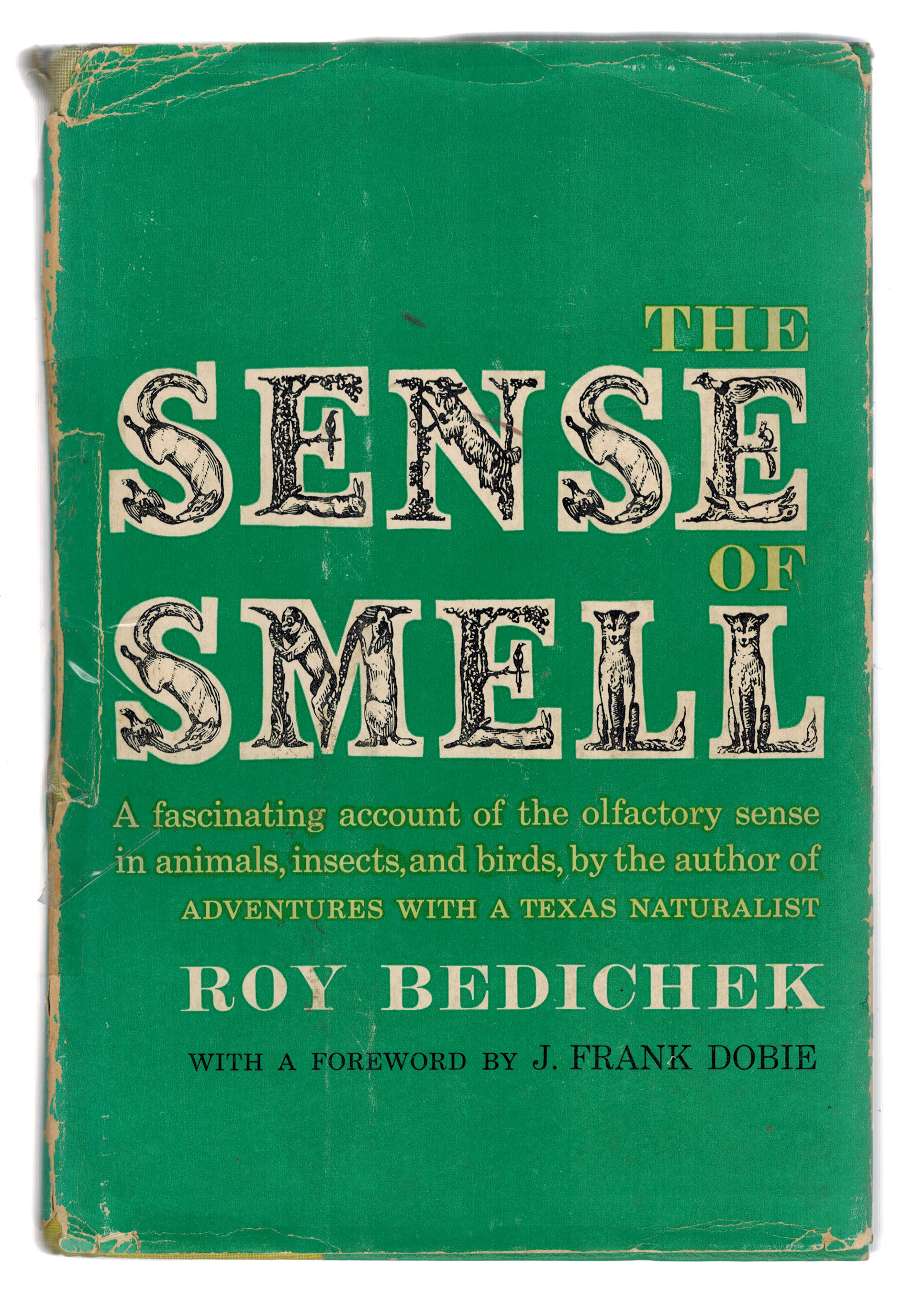 The Sense of Smell