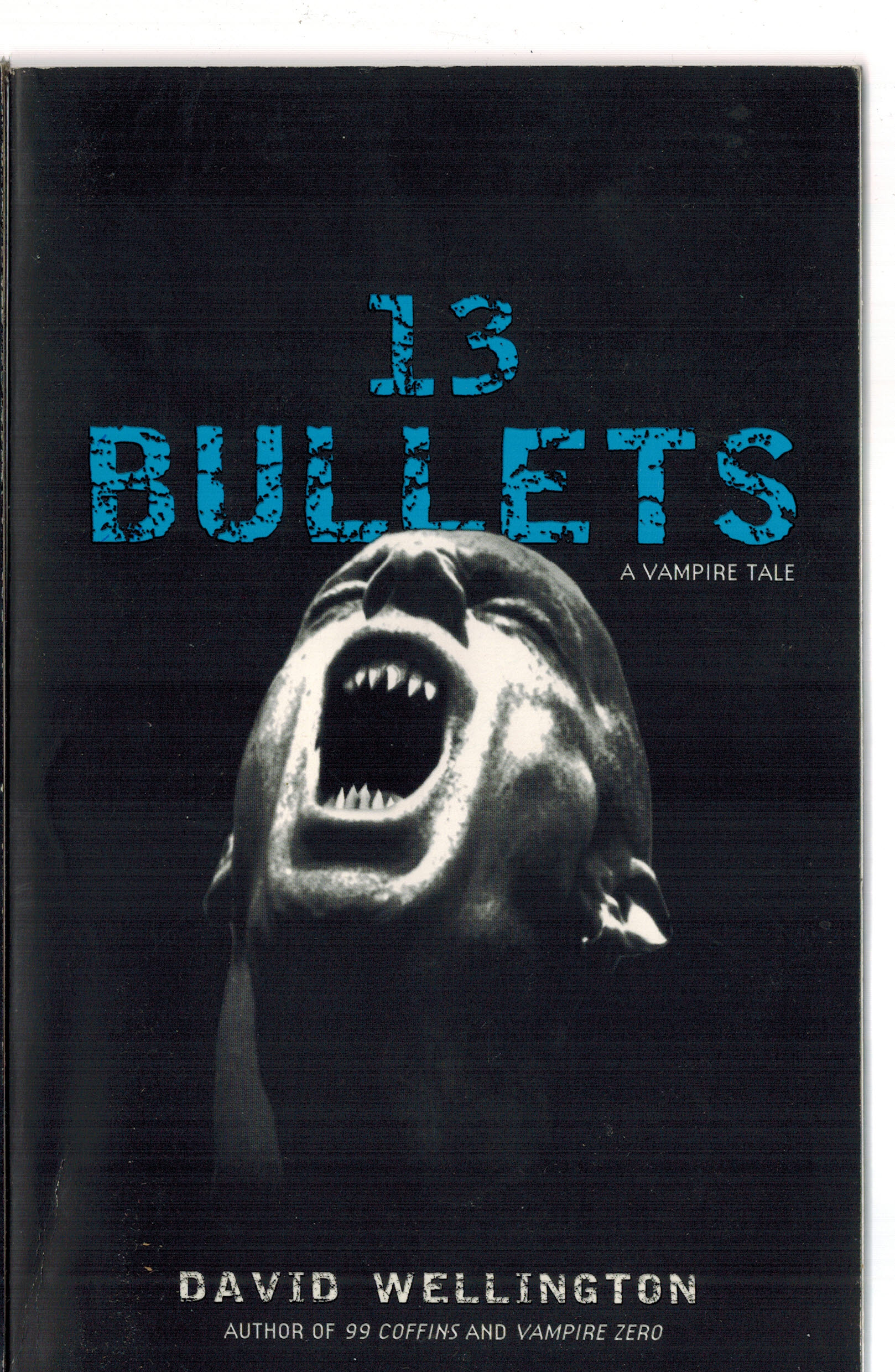 13 Bullets: 13 Bullets: A Novel: 1 (Laura Caxton Vampire)